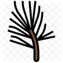 Acicular  Icon