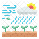 Acid Rain  Icon