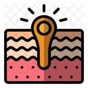 Acne  Icon