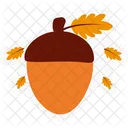 Acorn  Icon