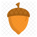 Seed Oak Nut Icon