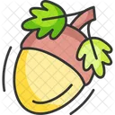Acorn Icon