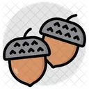 Acorn  Icon