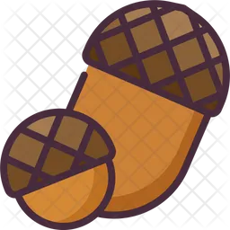 Acorn  Icon