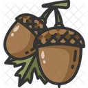 Acorn Healthy Food Oak Icon