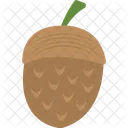Acorn Autumn Fruit Icon