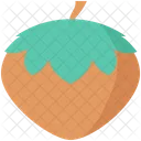 Acorn Icon