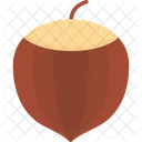 Acorn Nut Hazelnut Icon
