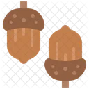Acorn Oak Nut Icon