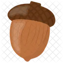 Acorn Nut Oak Nut Icon