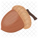 Acorn Nut Oak Nut Icon