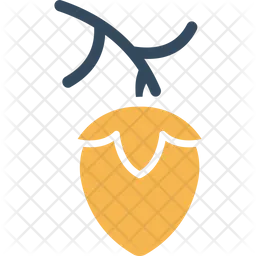 Acorn  Icon