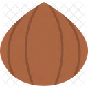Acorn Hazelnut Nut Icon