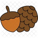 Acorn And Pine Cone Organic Fruits Icon