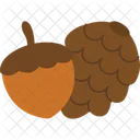 Acorn And Pine Cone  Icon