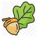 Autumn Oak Nut Icon