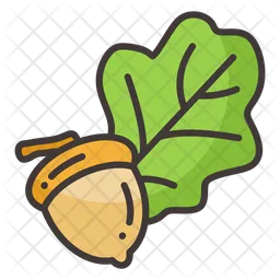 Acorn  Icon