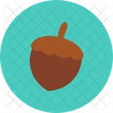 Acorn  Icon