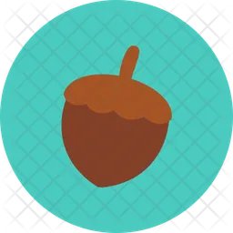 Acorn  Icon