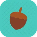 Acorn  Icon