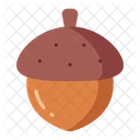 Acorn  Icon