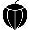 Acorn  Icon