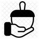 Acorn  Icon