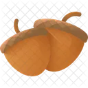 Acorn  Icon