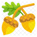 Acorn  Icon