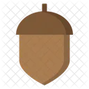 Acorn  Icon