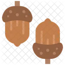 Acorn  Icon