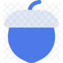 Acorn  Icon