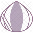 Acorn  Icon