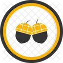 Acorn  Icon