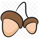 Acorns Nut Dry Fruit Icon