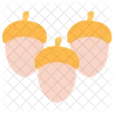 Acorns  Icon