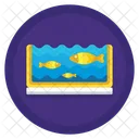 Acquario  Icon