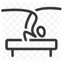 Acrobat  Icon