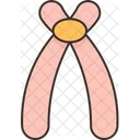 Acrocentric Chromosome Centromere Icon