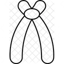 Acrocentric  Icon