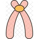 Acrocentric  Icon