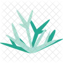 Acropora Cervicumis Plant Ocean Icon