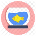 Acuario  Icono