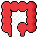 Add Intestine Icon