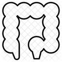 Add Intestine  Icon