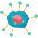 Adenovirus  Icon