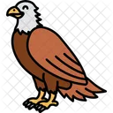 Adler Falke Vogel Symbol