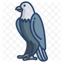 Adler Symbol