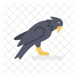 Adler  Symbol