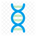 ADN Structure De L ADN Genetique Icône